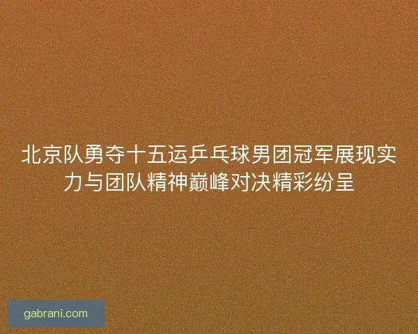 北京队勇夺十五运乒乓球男团冠军展现实力与团队精神巅峰对决精彩纷呈